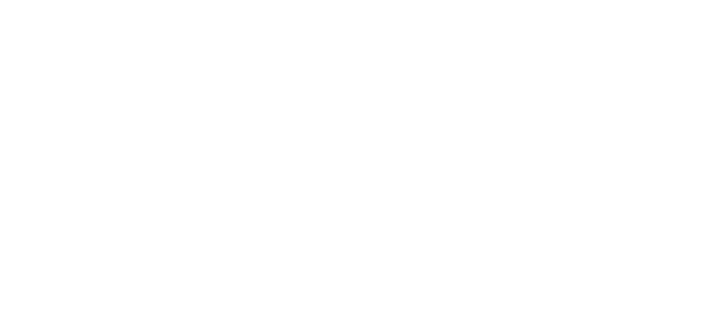 Anexa Logística
